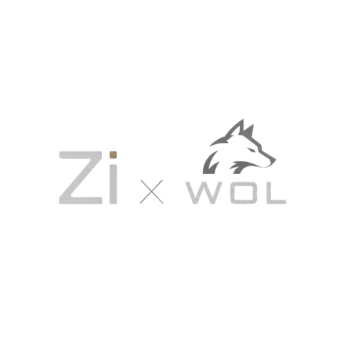 ZI x WOL